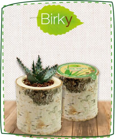 Birky Produkt Kategorie f60c0715