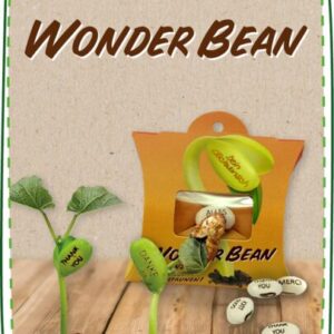 Wonder Bean Produkt Kategorie 41a0f51d