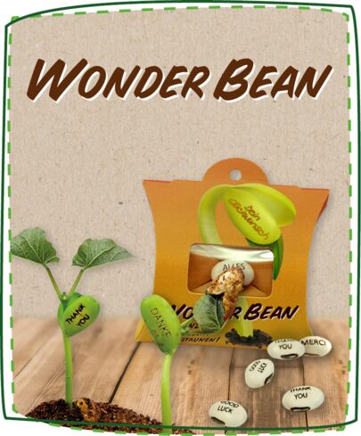 Wonder Bean Produkt Kategorie 41a0f51d