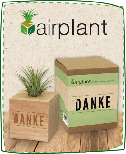 Airplant Produkt Kategorie a589a91d