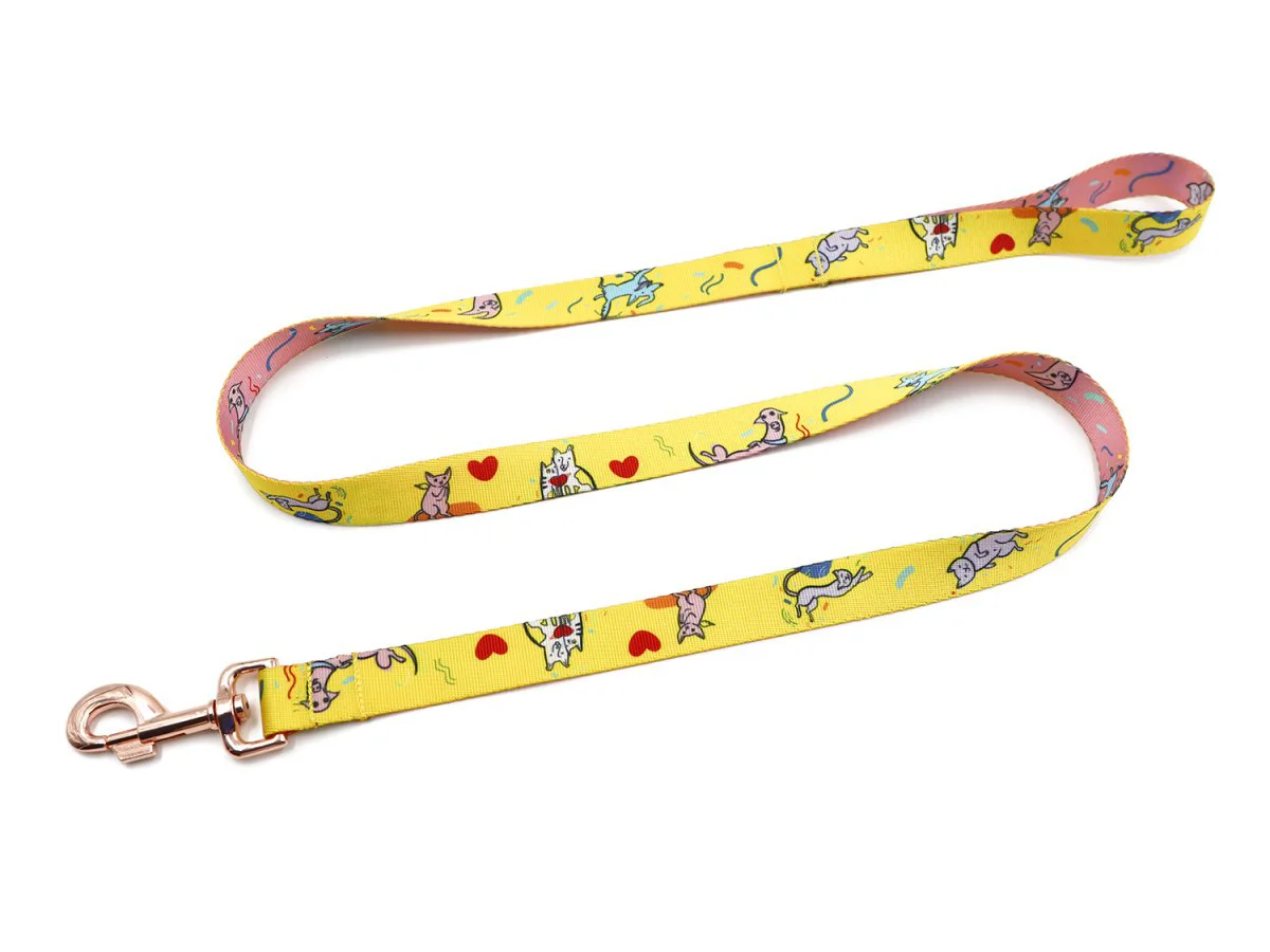 Dog leads 14111
