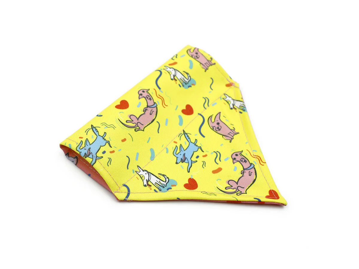 Dogs collar with print 14039