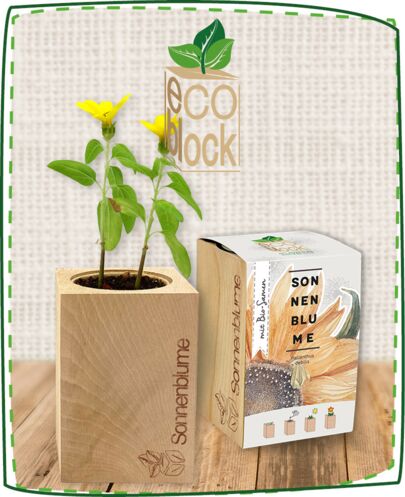 Ecoblock Produkt Kategorie 05b23b86