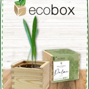 Ecobox Produkt Kategorie 72556c54
