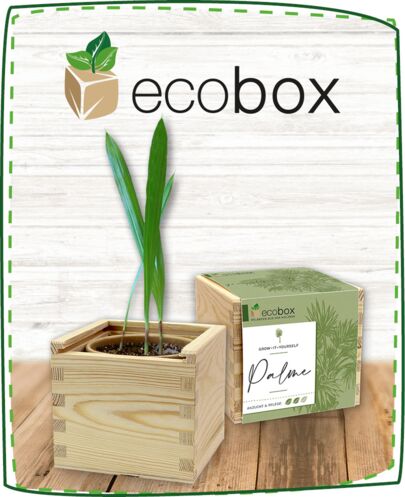 Ecobox Produkt Kategorie 72556c54