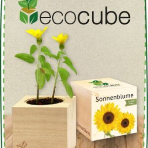 Ecocube Produkt Kategorie a926ec49