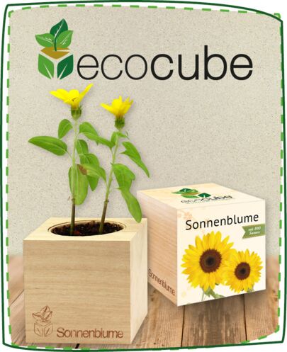 Ecocube Produkt Kategorie a926ec49