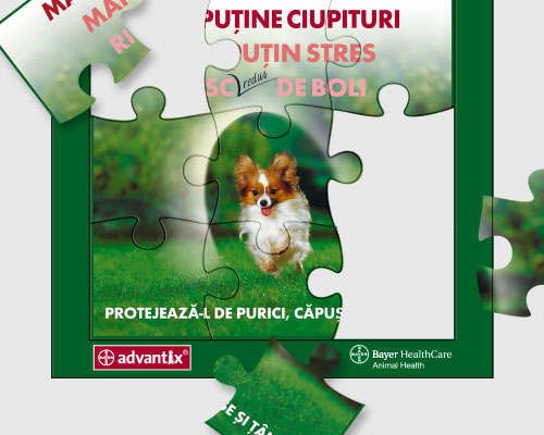 Magnet puzzle 1A