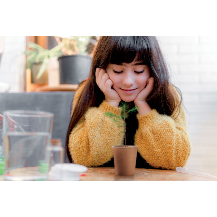 Mo6228 13 ambiant 1