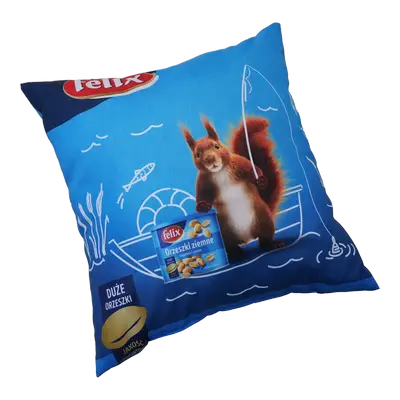 Pillow ctm group 4
