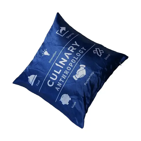 Pillow ctm group 6
