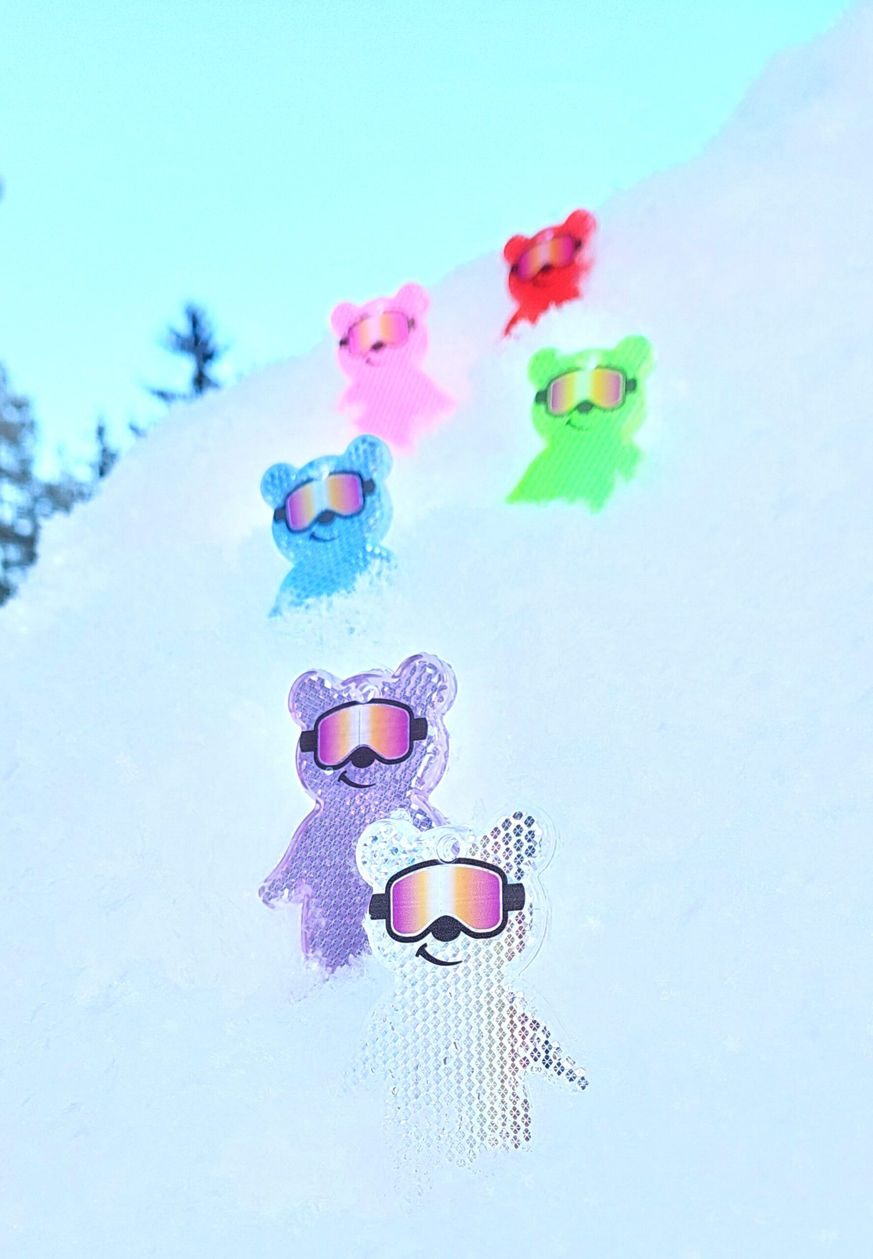 Slalom Bear Reflectors scaled 1