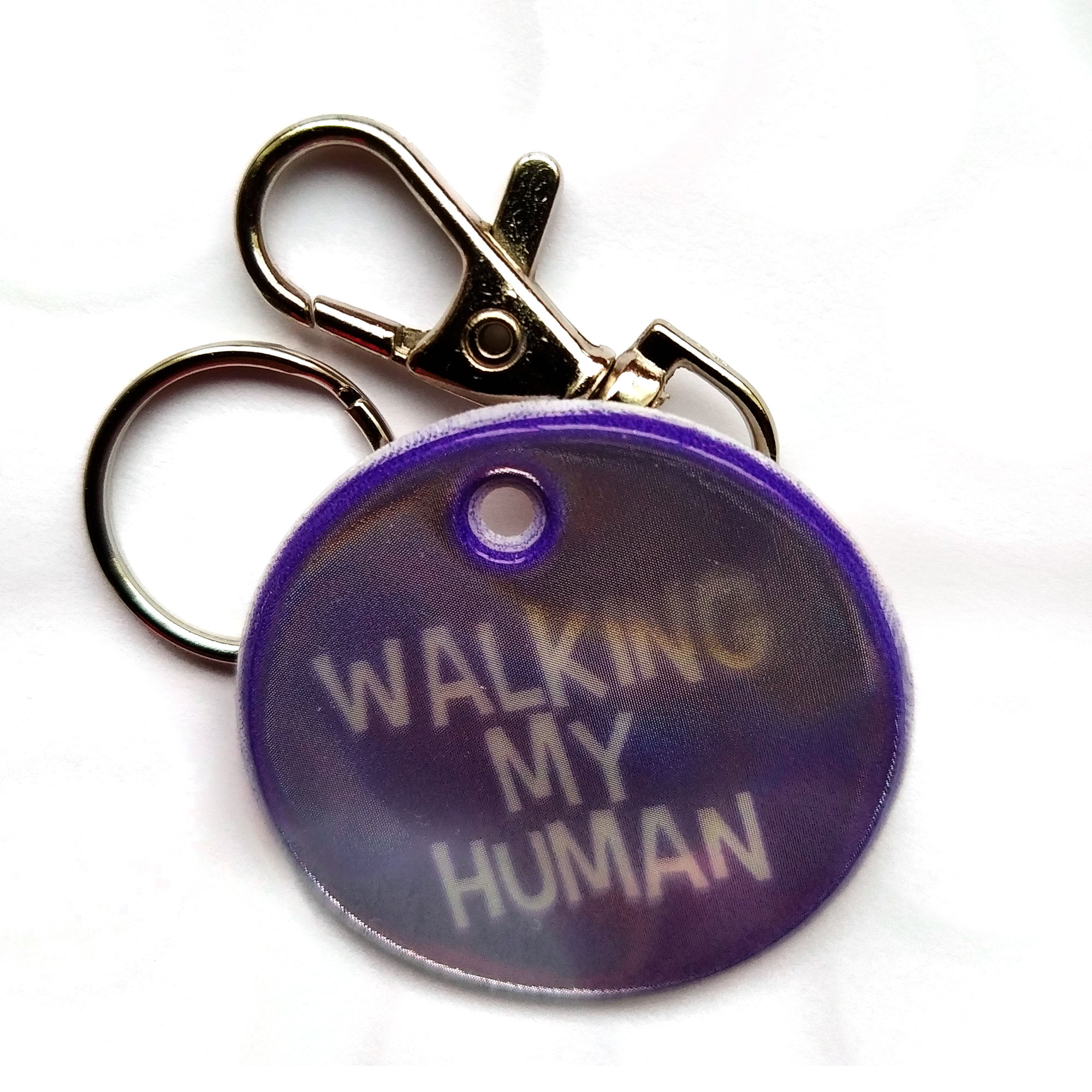 Walking my human for pets purble