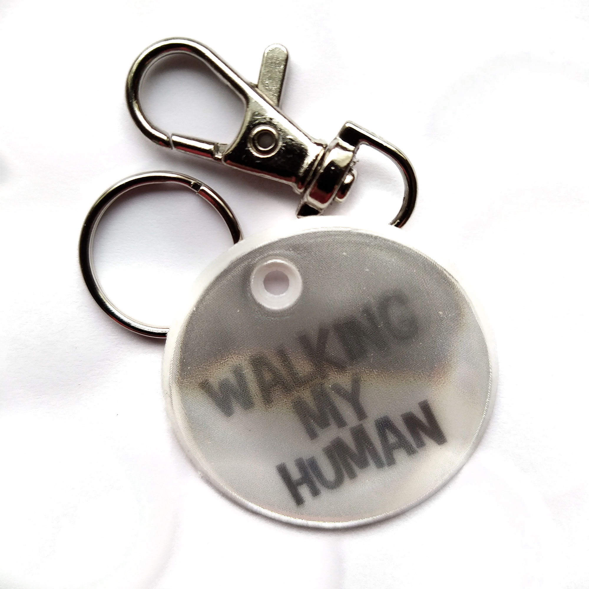 Walking my human for pets white