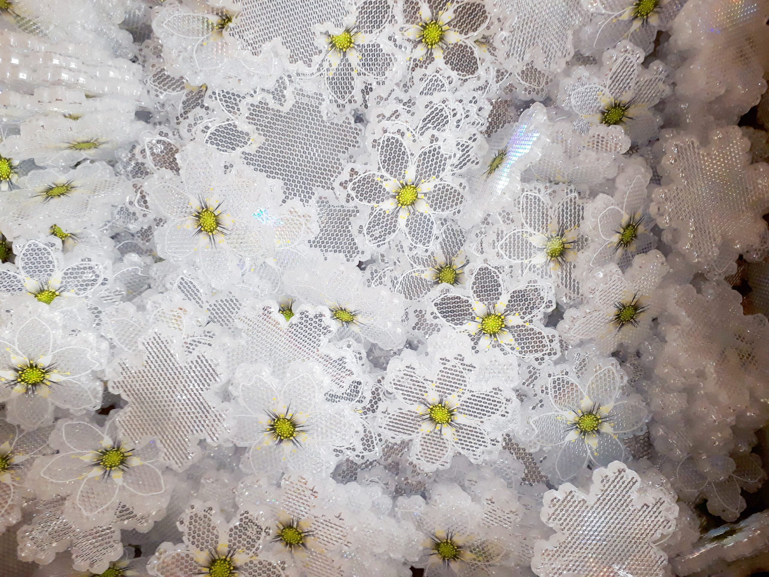 White anemone bulk scaled 1
